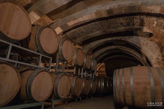 Wine and food tasting in an organic family winery - FAQ