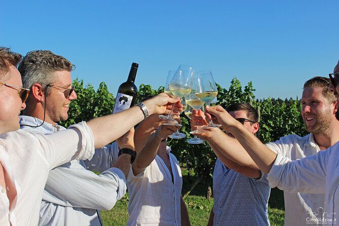 Wine and Food Tasting in the Vineyards in Lazise - An In-Depth Review of the Lazise Wine and Food Tasting Experience