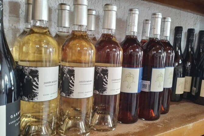 Wine and gastronomic tour in Guadalupe Valley for groups 6 - Frequently Asked Questions