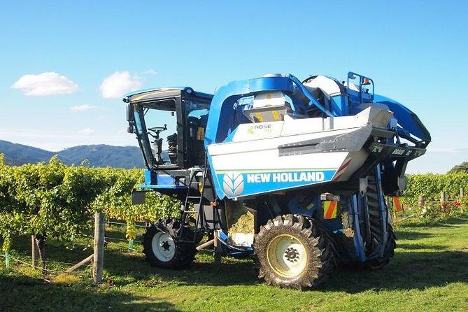 Wine and Gourmet Picnic Experience of Marlborough - A Deep Dive into the Marlborough Wine and Gourmet Picnic Experience