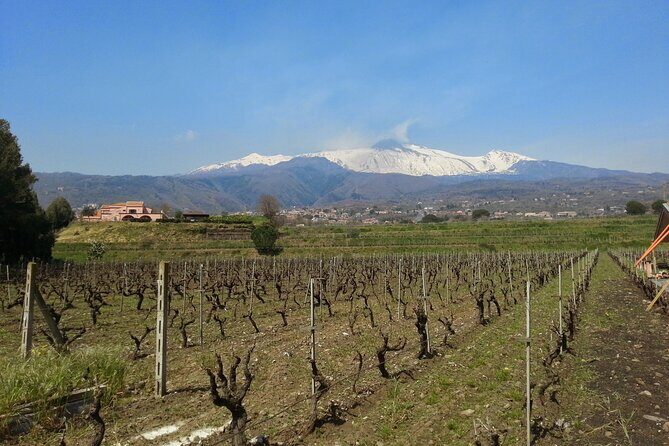 Wine and Lunch Tour - Key Points