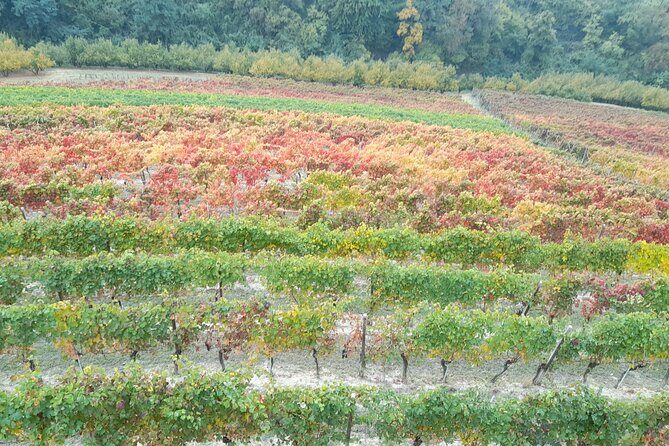 Wine and Typical Product Tasting Tour - FAQ