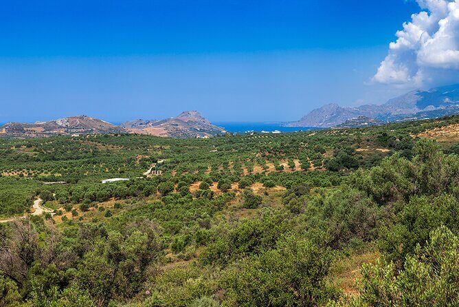 Wine, Beer, Olive Oil Tasting Private Tour (price per group of 6) - FAQ