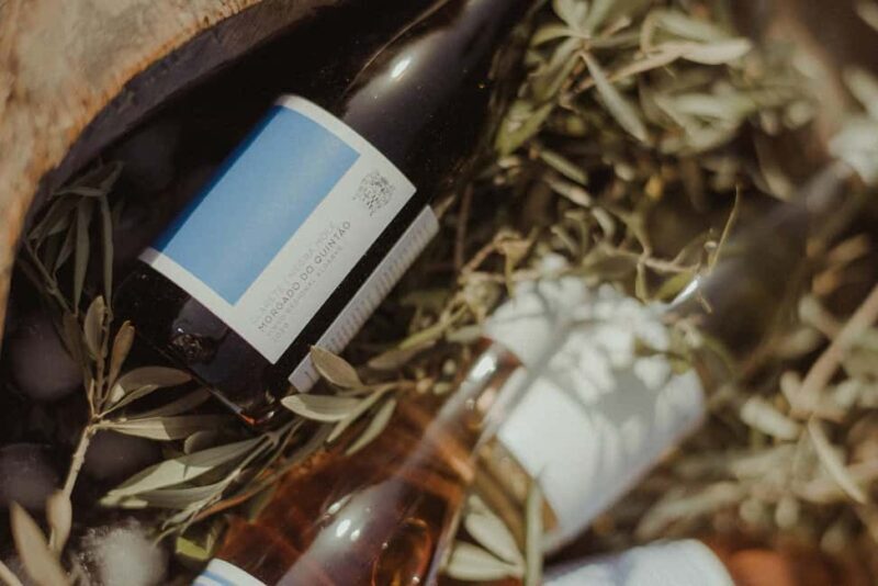 Wine Break - A Closer Look at the Morgado do Quintão Wine Tasting