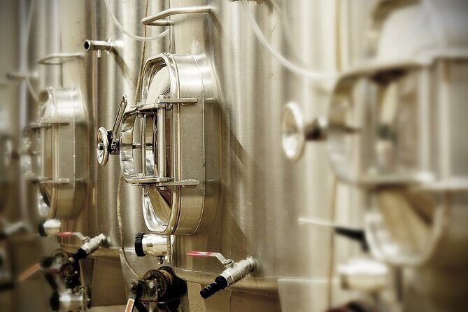 Wine cellar tour with tasting 3 wines of the Loire - Key Points