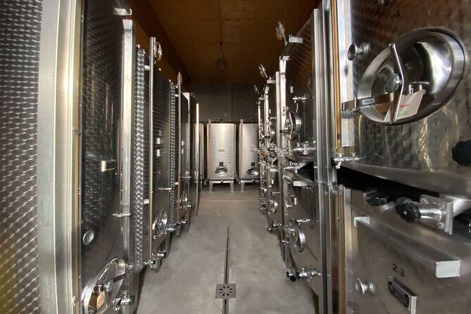 Wine cellar visit & tasting of organic Alsace wines - Practical Details: What to Expect