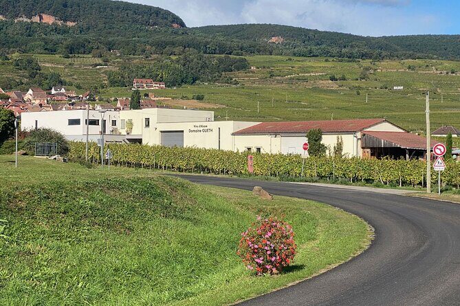 Wine cellar visit & tasting of organic Alsace wines - The Sum Up: Why This Tour Is Worth Your Time