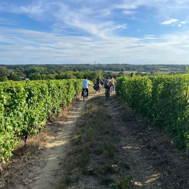 Wine & cheese ebike tour with tasting in the vineyards - Final Words: Is It Worth It?