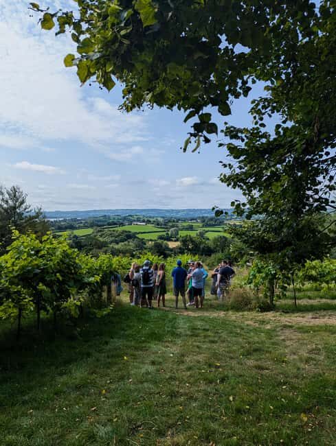 Wine & Cheese in the Somerset Valleys - with Michelin lunch - Practical Details and What to Expect