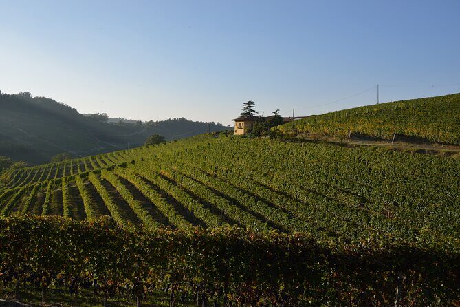 Wine & Chocolate Tour and Tasting in Alba area - Who Should Consider This Tour?