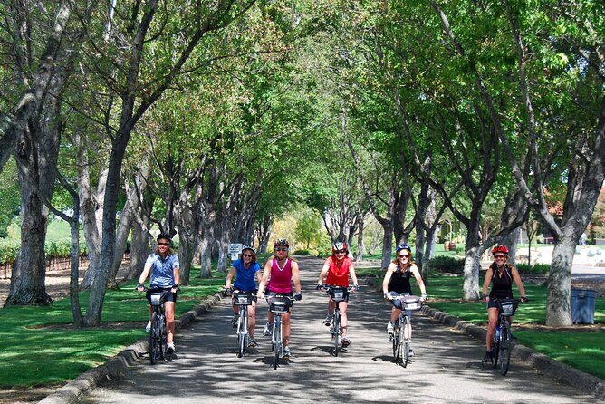 Wine Country Farm to Table Bike Tour w/Lunch - The Practical Side: Logistics and Planning