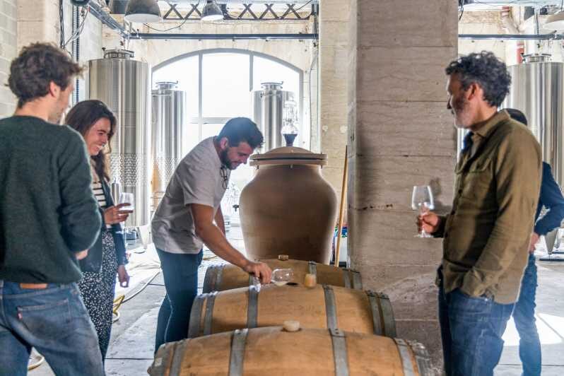 Wine creation workshop - Bordeaux - Darwin - FAQs