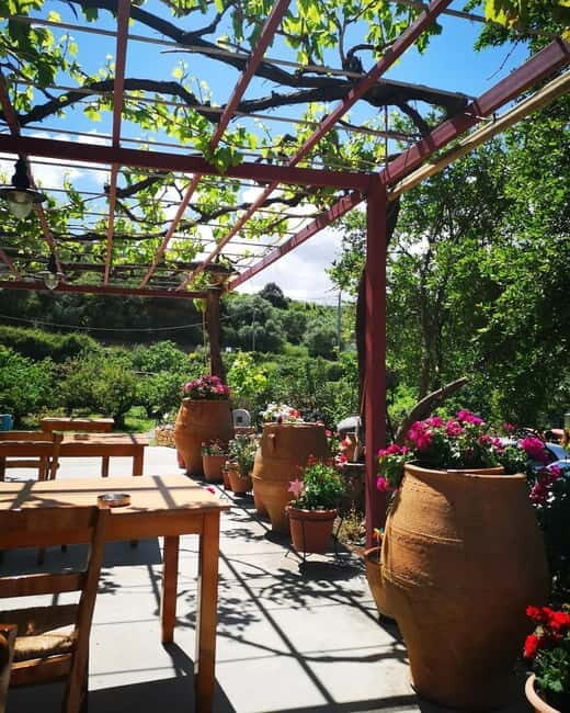 Wine, Dine & Divine: A Cretan Odyssey in Chania - The Practical Side: What to Expect