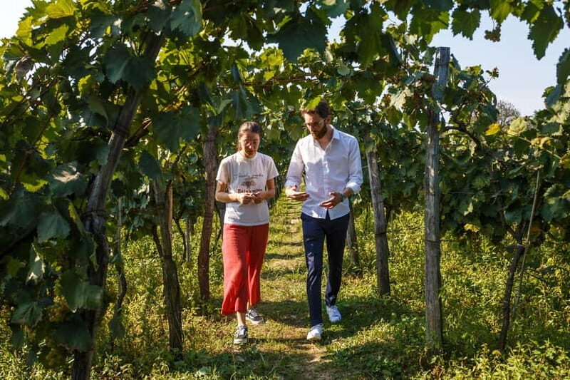 Wine & Dine group tour from Kutaisi - Key Points