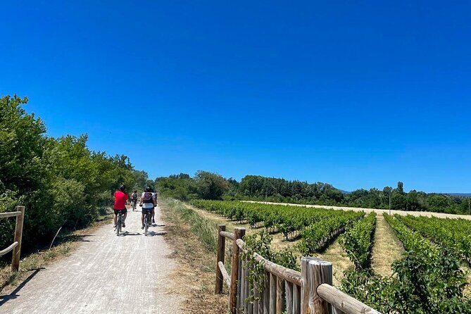 Wine excursion by electric bike guided by GPS Vallon Pont d'Arc - The Full Experience: What to Expect