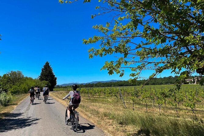 Wine excursion by electric bike guided by GPS Vallon Pont d'Arc - Authentic Insights from Past Travelers