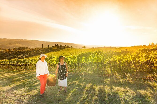 Wine experience Bologna hills - The Sum Up