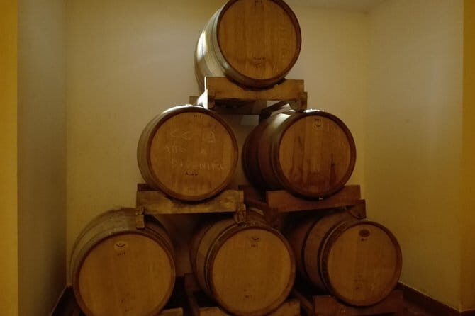 Wine Experience In Chianti Hills from Florence - Who This Tour Is Perfect For