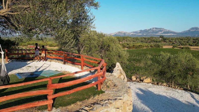 Wine experience in Dorgali in the heart of the Cannonau Classic Zone - Scenic Setting and Additional Highlights