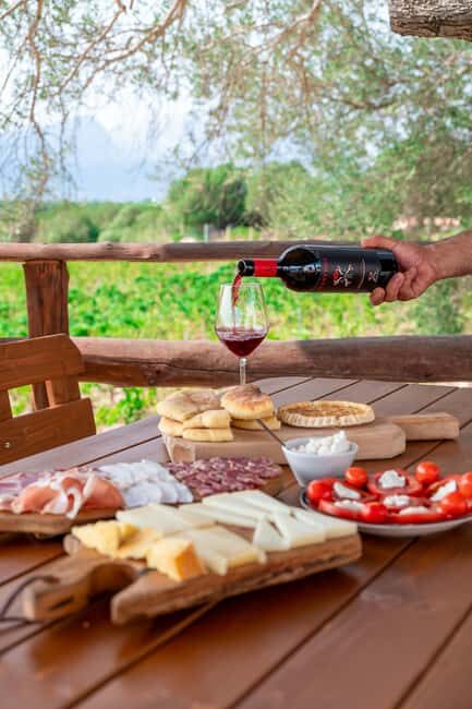 Wine experience in Dorgali in the heart of the Cannonau Classic Zone - Practical Details: Visiting and Saving Your Spot