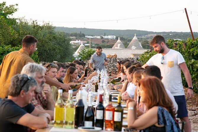 Wine Experience: vineyard, wines and food - The Itinerary: What You Can Expect