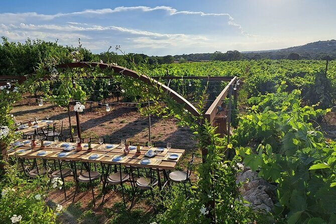 Wine Experience: vineyard, wines and food - FAQ