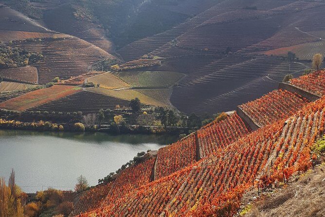 Wine experience with a sommelier - How the Day Is Structured