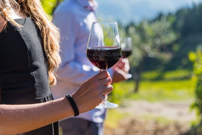 Wine Hiking Sip & Trek - Analyzing the Price and Value