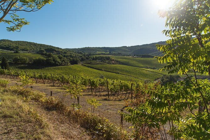 Wine Hiking Sip & Trek - Key Points
