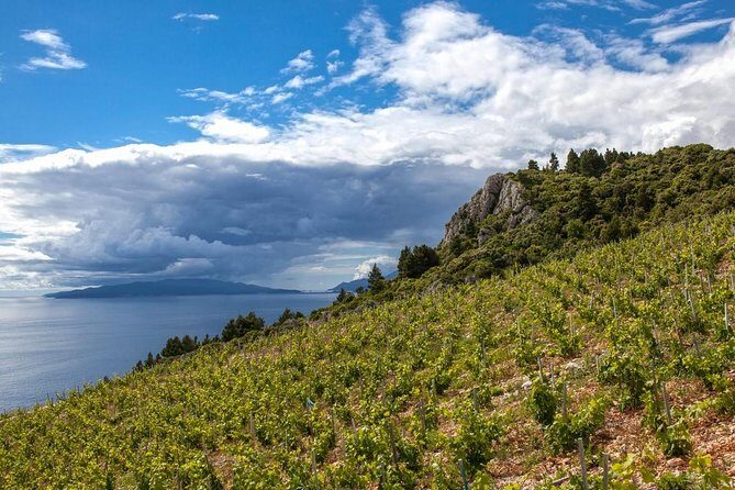 Wine Lover's Tour From Dubrovnik - Key Points