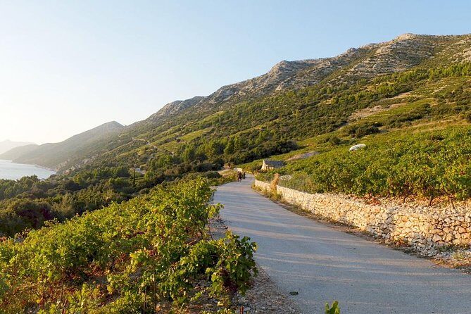 Wine Lover's Tour of Peljesac Peninsula - An In-Depth Look at the Tour Experience