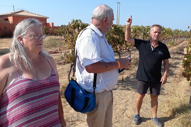 Wine Lovers: Winery Tour w/ Tasting & Tapas (Albufeira/Vilamoura) - Practical Details & Value for Money