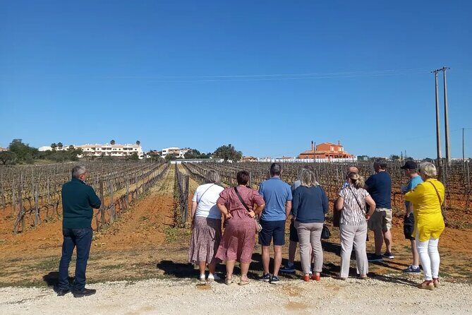 Wine Lovers: Winery Tour w/ Tasting & Tapas (Albufeira/Vilamoura) - FAQs