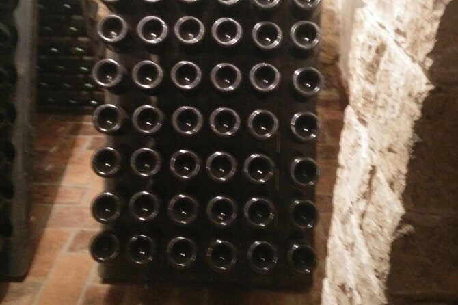 Wine & more Tour , private guided wine tour from POREC, UMAG ,Istria - FAQ