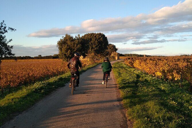 Wine of the Luberon by e-bike... Not to be missed ! - Key Points