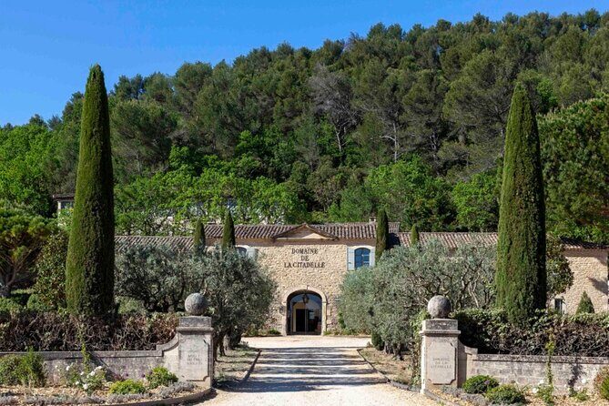 Wine of the Luberon by e-bike... Not to be missed ! - The Sum Up