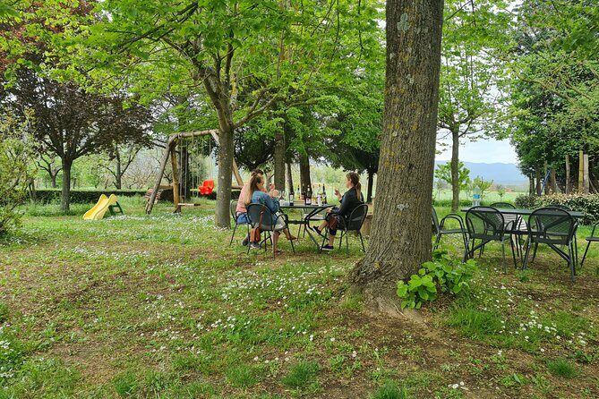 Wine & Oil Tasting Experience - The Sum Up: Is This Tour Right for You?
