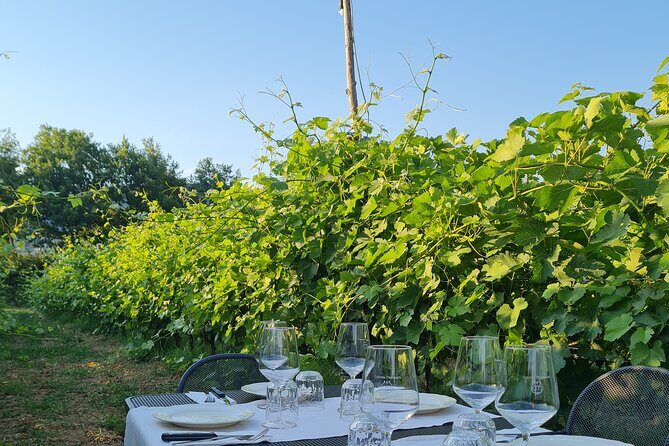Wine & Oil Tasting Experience - FAQ