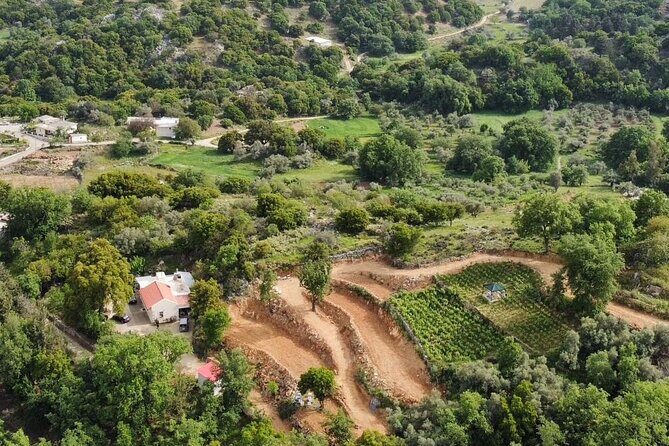 Wine, Olive Oil, and Honey Tour with Winemaker - FAQ