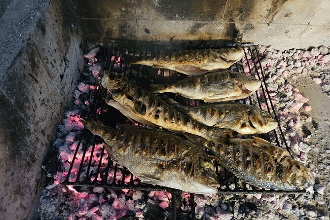 Wine & Oysters & AUTHENTIC boat tour with GOURMET LUNCH in price - FAQs