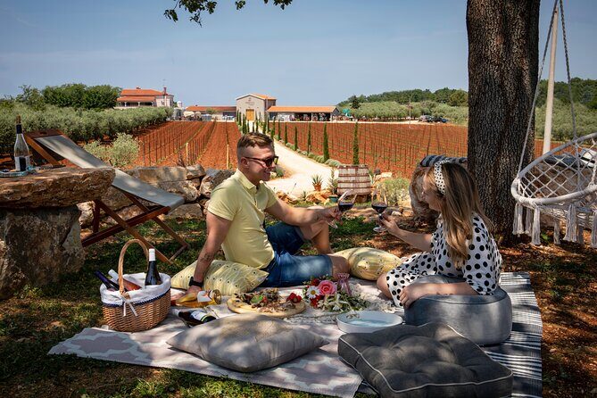 Wine picnic - A Refreshing Escape: The Wine Picnic in Istria, Croatia