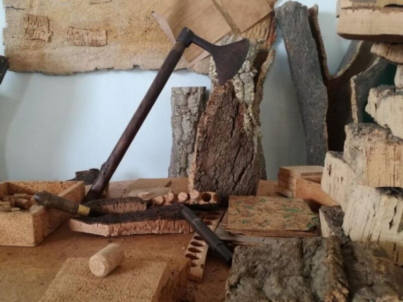 Wine , Roman Temple and Bone Chapel in half-day private tour - The Sum Up