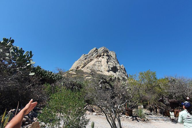 Wine Route in Tequisquiapan with Transportation - An In-Depth Look at the Tour Experience