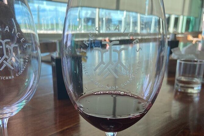 Wine Route !, Vineyards, wine tasting and pairing - Discover the Charm of Guanajuato’s Wine Route