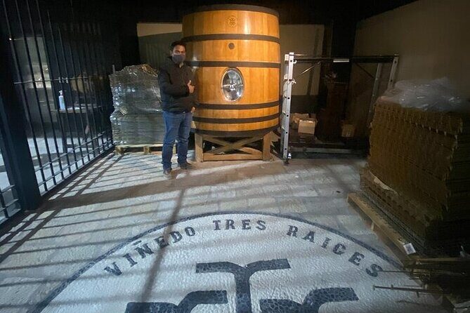 Wine Route !, Vineyards, wine tasting and pairing - What You Can Expect from the Wine Route Tour