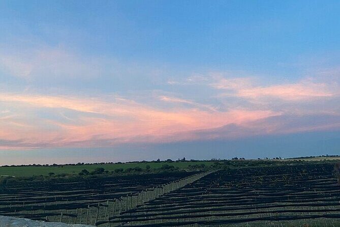 Wine Route !, Vineyards, wine tasting and pairing - FAQ