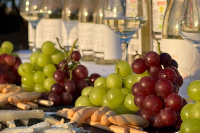 Wine route with tasting and pairing in the La Mata Natural Park - Who Will Love This Tour?
