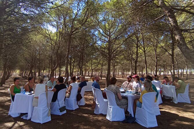 Wine route with tasting and pairing in the La Mata Natural Park - Final Thoughts