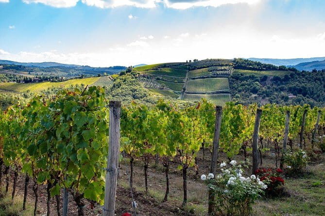 Wine Safaris: Off Road Tuscany Wine Tours and Lunch from Florence - What to Expect on Your Tuscany Wine Safari