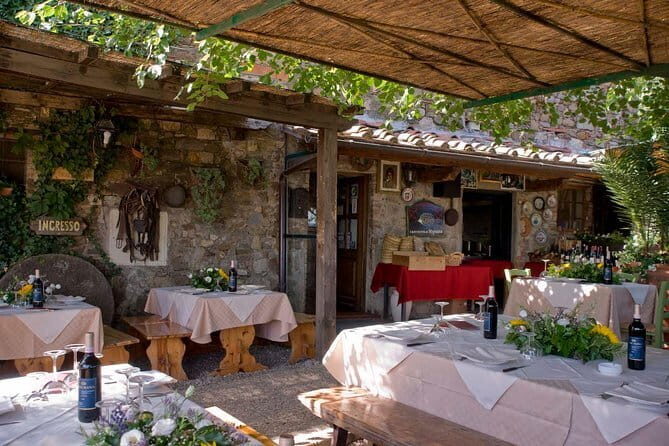 Wine Safaris: Off Road Tuscany Wine Tours and Lunch from Florence - Who Would Love This Tour?